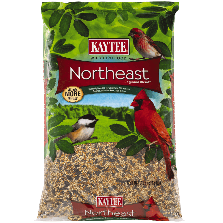 Bird Food 4